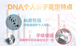 湘西个人亲子鉴定中心预约