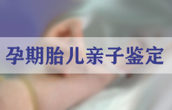 湘西采集头发能做DNA亲子鉴定吗,湘西做个人亲子鉴定多少费用 湘西采集头发能做DNA亲子鉴定吗,湘西做个人亲子鉴定多少费用