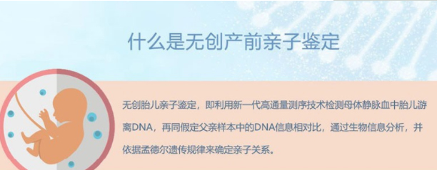 湘西怀孕怎么做血缘检测,湘西产前亲子鉴定详细流程及材料