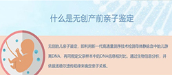 湘西怀孕要如何办理亲子鉴定，湘西办理产前亲子鉴定详细流程及材料