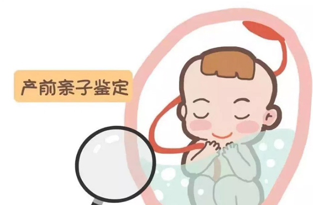 在湘西怀孕几个月需要怎么做怀孕亲子鉴定,在湘西怀孕期间办理亲子鉴定哪里做的准